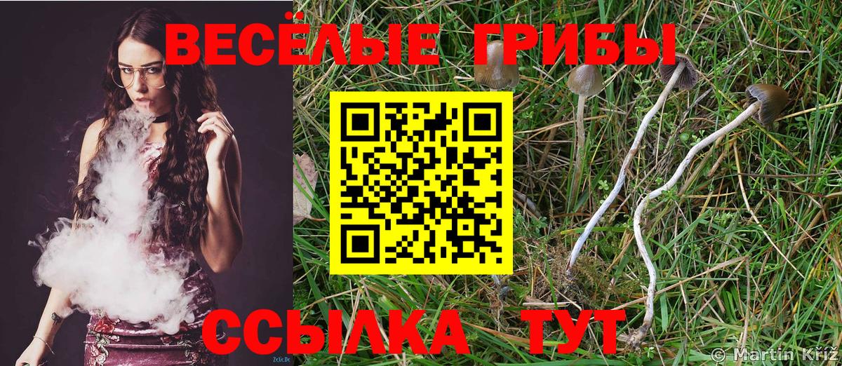 Псилоцибиновые грибы GOLDEN TEACHER Звенигород