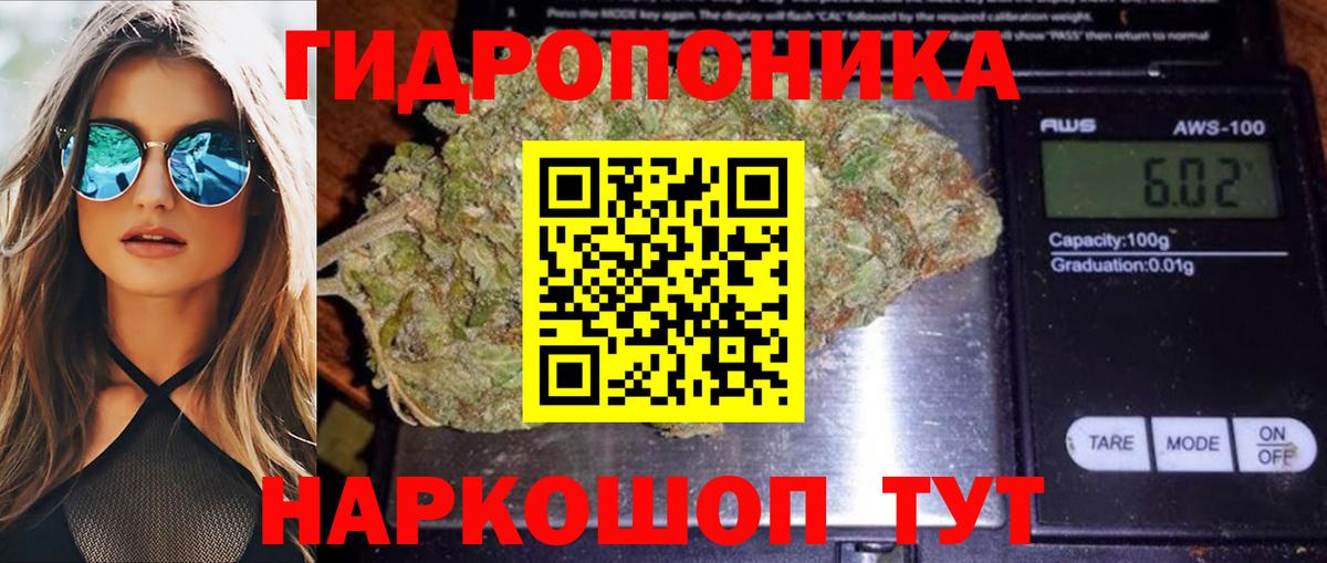 МАРИХУАНА индика  Шишки марихуана AK-47  Вход с VPN  Бошки марихуана OG Kush  Бошки марихуана White Widow  Звенигород 